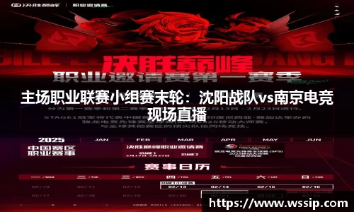 主场职业联赛小组赛末轮：沈阳战队vs南京电竞现场直播