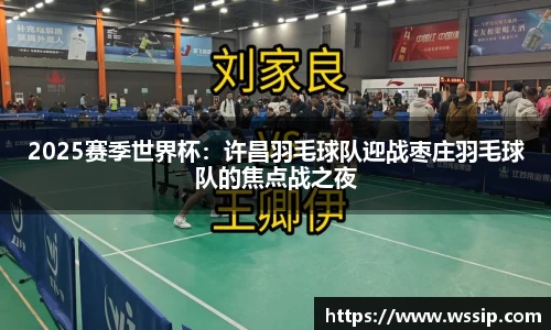 2025赛季世界杯：许昌羽毛球队迎战枣庄羽毛球队的焦点战之夜